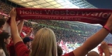 fanschal(6)