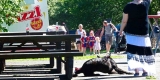 sommerfest2017 (27)