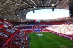 arena-202002